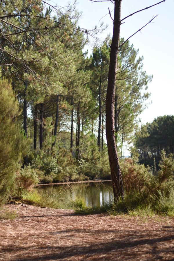 La cachette du lac Lacanau Eksteriør billede