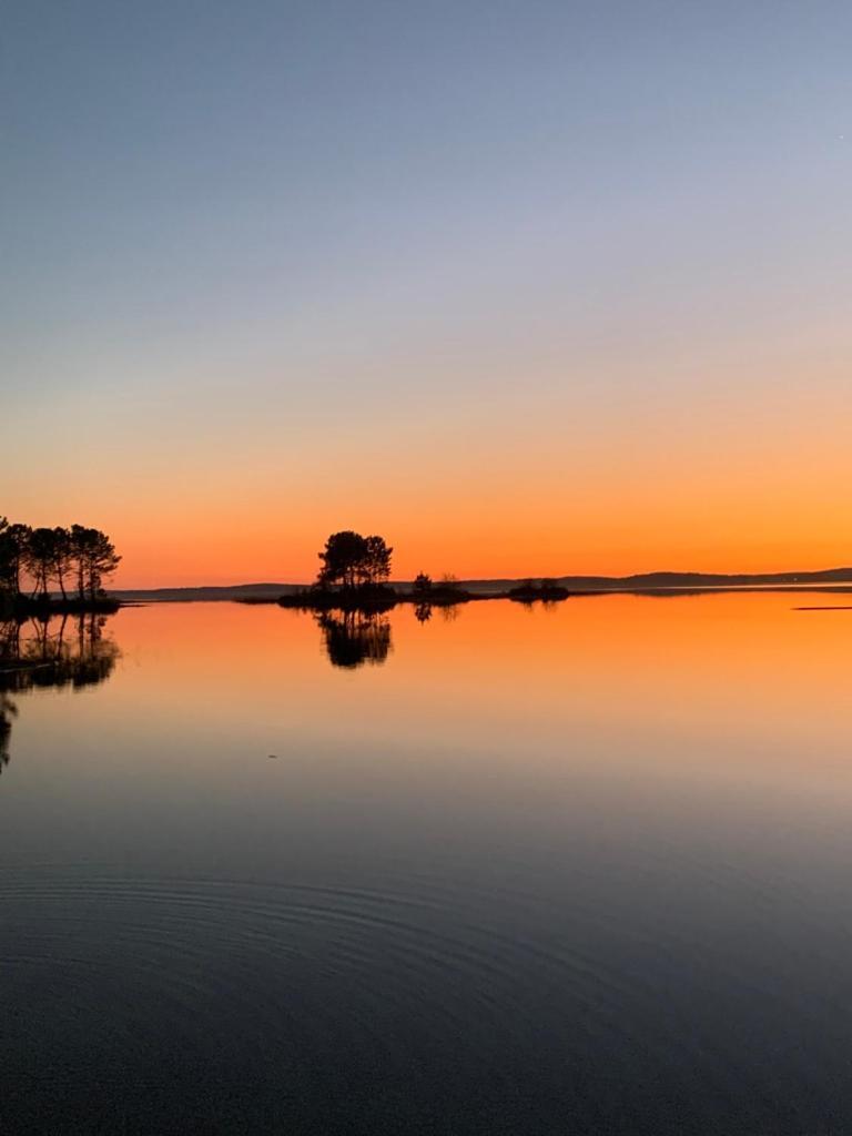 La cachette du lac Lacanau Eksteriør billede